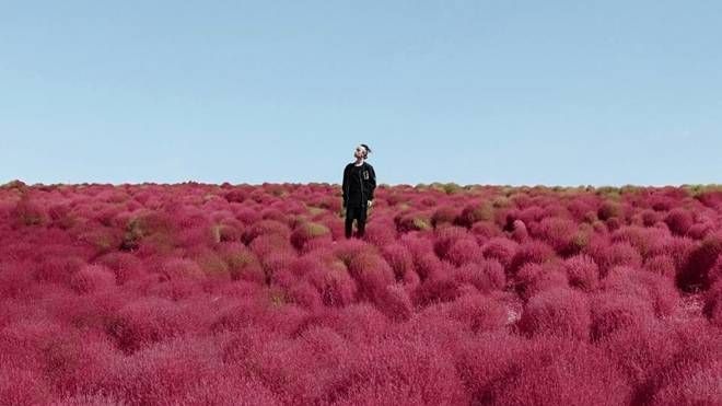 Kelbin Lei lạc lối ở Kyoto, xin quẻ xăm tình duyên