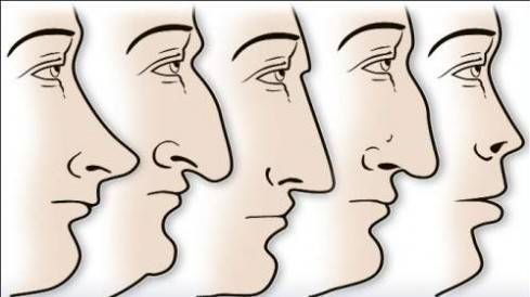 Đoán tính cách thông qua hình dáng chiếc mũi