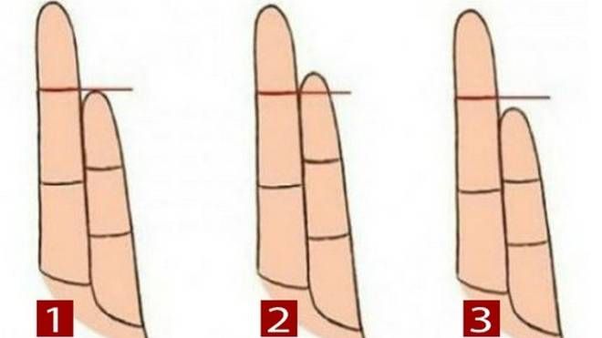 Chiều dài ngón nhẫn nói gì về bạn?