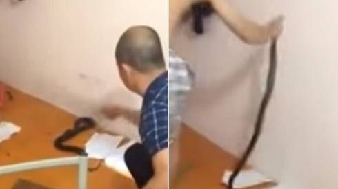 Clip: Bắt rắn hổ mang chúa dài hơn 1 mét dưới gầm giường phòng trọ