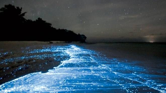 Những kỷ lục du lịch vào sách Guinness 2016