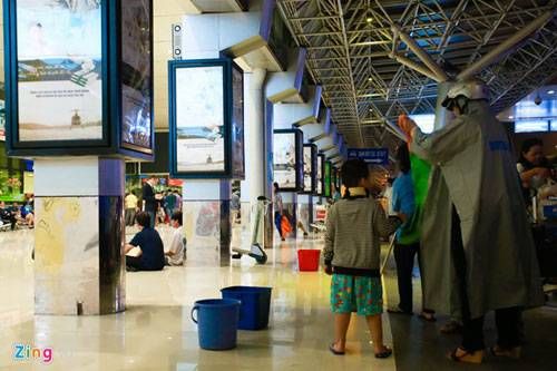 Hứng nước mưa ở sân bay, bắt rắn trong mưa ngập Sài Gòn