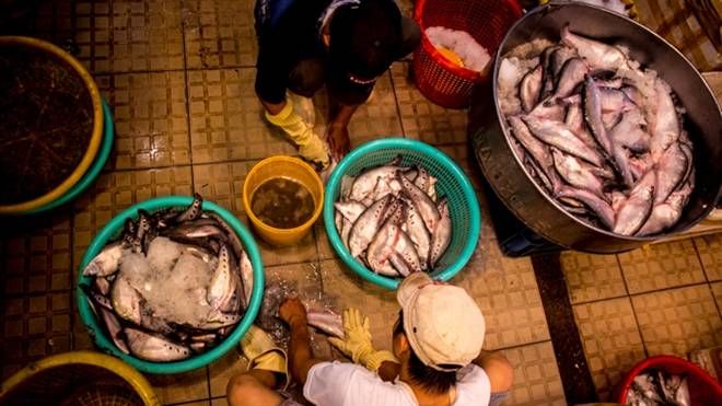 Đêm trắng ở chợ thủy sản lớn nhất Sài Gòn