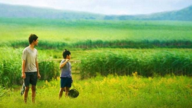 'Tôi thấy hoa vàng trên cỏ xanh' lập kỷ lục phòng vé mới