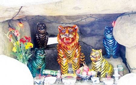 Ly kỳ chuyện cọp: Đỡ đẻ cho chúa sơn lâm