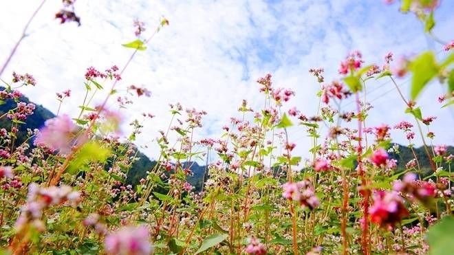 Phượt theo mùa, điểm trừ cho ý thức