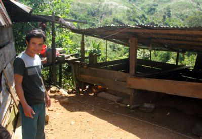 Tự tử vì lợn nái đẻ toàn con đực