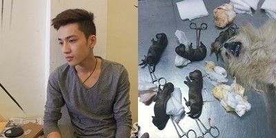 Vụ 15 chú chó bị đầu độc: Bất ngờ với clip tố cáo hung thủ