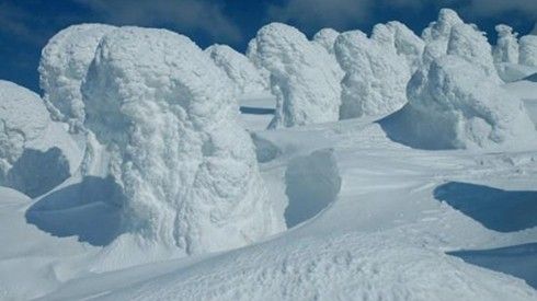 Tuyết quái vật xinh đẹp ở Nhật Bản