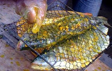 Cá bỗng sông Gâm chục năm tuổi: Nhà giàu phải ăn dè