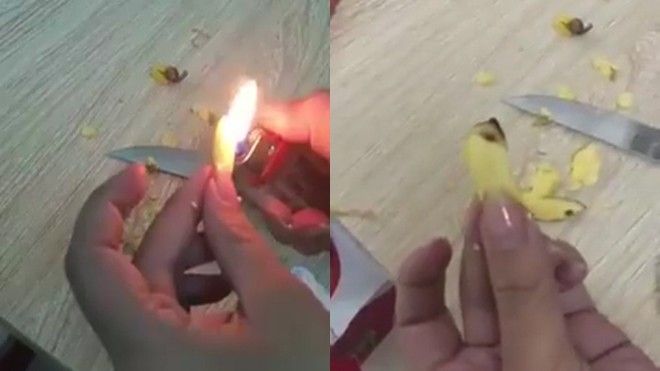 Cách chứng minh đồ ăn giả ngớ ngẩn nhất Việt Nam: đốt cháy!