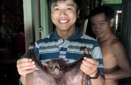 Cán bộ khoe chồn bay trên Facebook: 'Công an cũng bó tay'