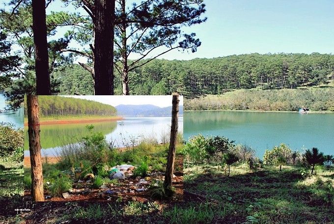 Đà Lạt - thành phố sương mù hay thành phố rác?