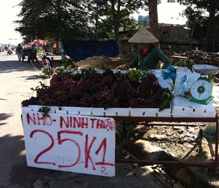 Sự thật về nho 'siêu rẻ' bán giá bèo 25.000 đồng/kg