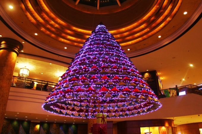 Trầm trồ trước những cây thông độc - lạ ở Sài Gòn