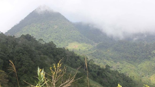 Chinh phục núi Cà Đam, vùng đất của loài sâm bảy lá