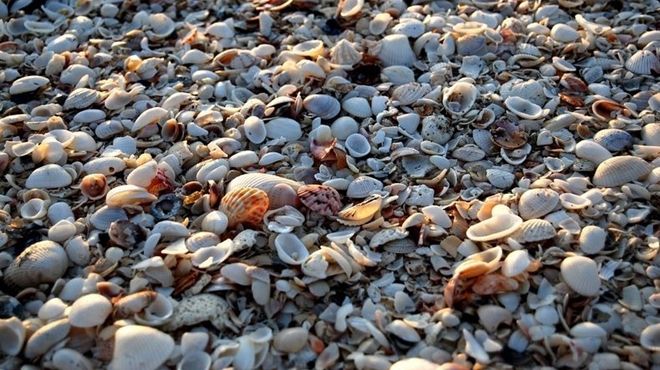 4 bãi biển 'ngao sò ốc hến' khiến bạn muốn xách ba lô lên và đi ngay