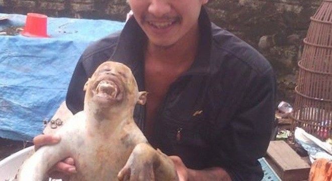 Phẫn nộ với thanh niên giết khỉ nấu cao rồi đăng ảnh lên Facebook