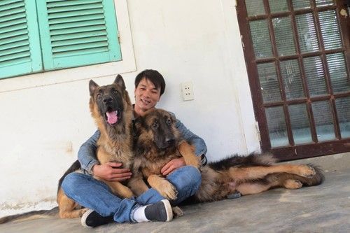 Chàng trai Huế tình nguyện làm 'bảo mẫu' của hàng trăm chú chó mèo bị bỏ rơi