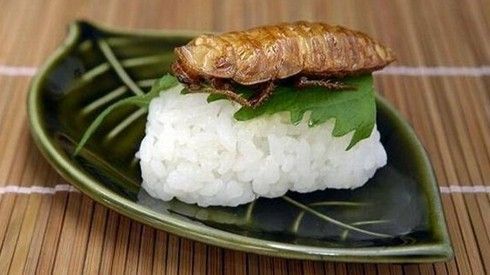 9 món ăn Nhật Bản khiến du khách vừa ăn vừa khóc