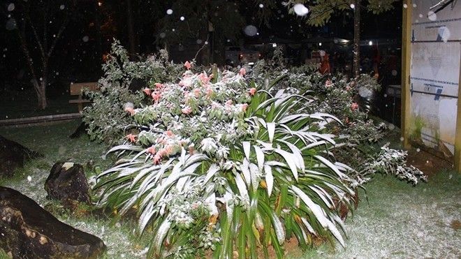 Băng tuyết xuất hiện, phủ kín Sapa