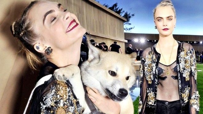 Cara Delevingne mang thú cưng đi xem show Chanel Haute Couture