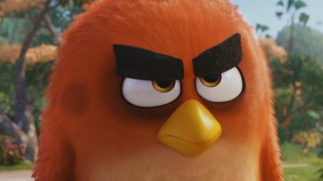 Bạn có biết vì sao chú chim Red luôn giận dữ?