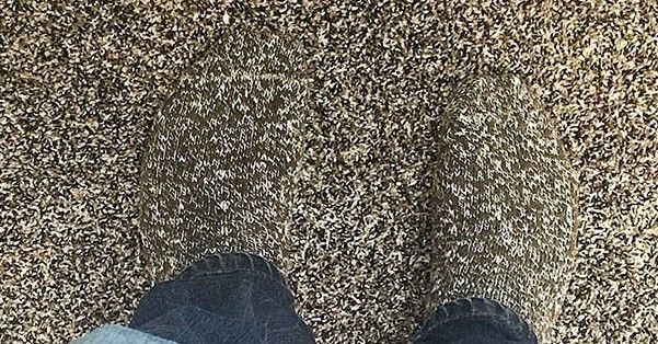 Ngộ nghĩnh những bức ảnh trùng hợp đến khó tin