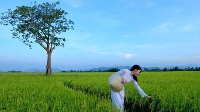 Lịch trình 3 ngày đi trốn ở đất 'hoa vàng cỏ xanh'