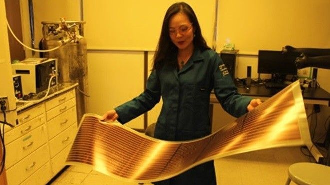 Nhà khoa học nữ gốc Việt trong top ảnh hưởng nhất thế giới