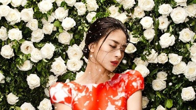 Ngô Thanh Vân - Đã đến lúc tiến ra 'biển lớn'