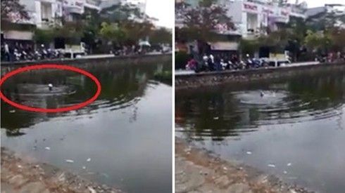 Clip 8 phút khiến người ta rùng mình vì sự vô cảm của một bộ phận người Việt