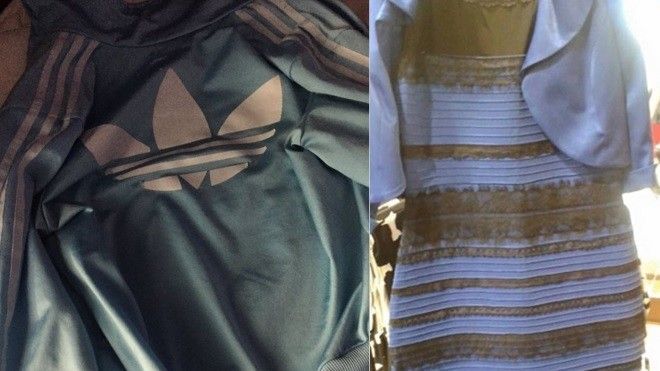 Cộng đồng mạng lại tranh cãi vì một chiếc áo khoác 'hại não'