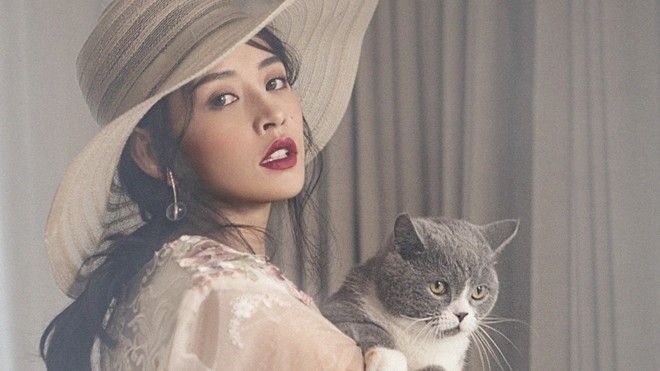 Chi Pu khoe bộ ảnh mới đẹp mê mẩn cùng mèo cưng