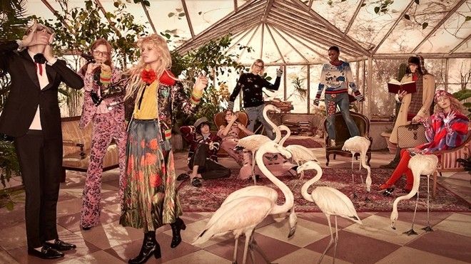 Ngắm Gucci và khu vườn hồng hạc trong chiến dịch Pre-fall 2016