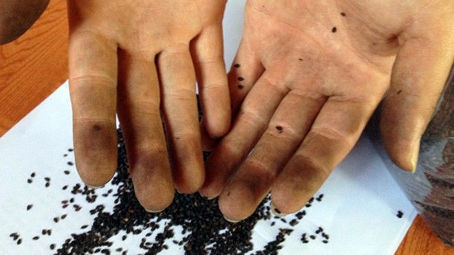 Hoang mang thông tin dùng lõi pin nhuộm đen… hạt vừng