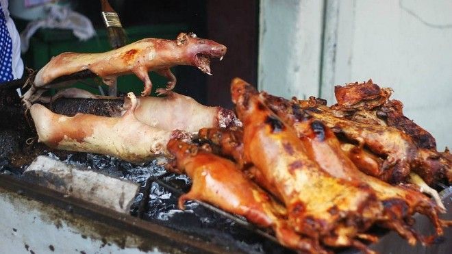 Những món ăn đường phố 'chất nhất quả đất'