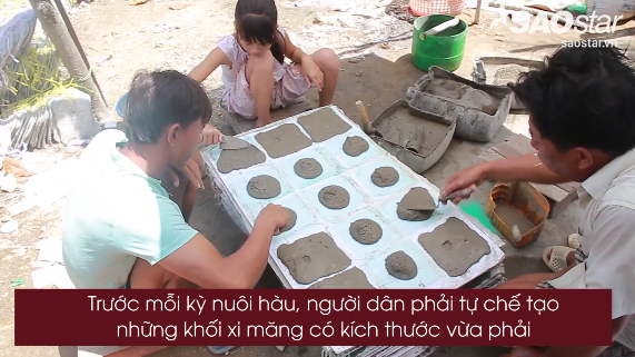 Clip độc quyền: Rùng mình với quy trình chế biến vỉ xi măng nuôi hàu ở Cần Giờ