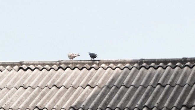 Thế giới có hai thái cực, ai khổ hơn ai?