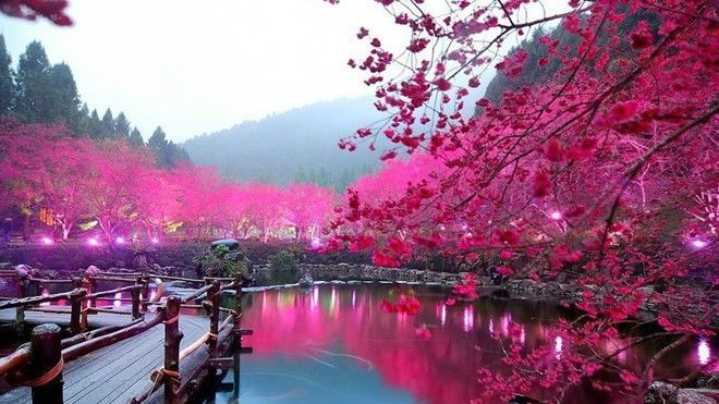 Những điểm đến hút khách Việt nhất vào dịp giỗ Tổ Hùng Vương