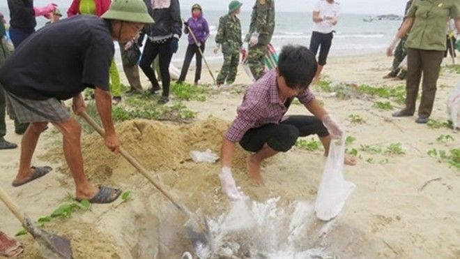 Vụ cá chết bất thường: Bốn bộ công bố kết quả kiểm tra