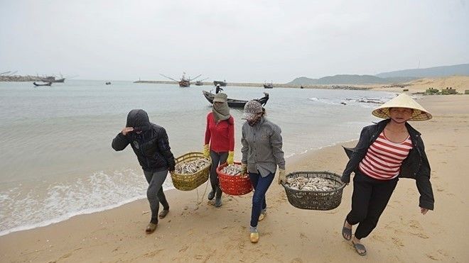 Nước biển tại 4 tỉnh miền Trung đạt tiêu chuẩn