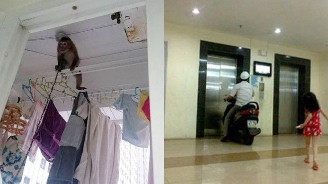 Độc và lạ: Những hình ảnh chỉ có ở chung cư Hà Nội