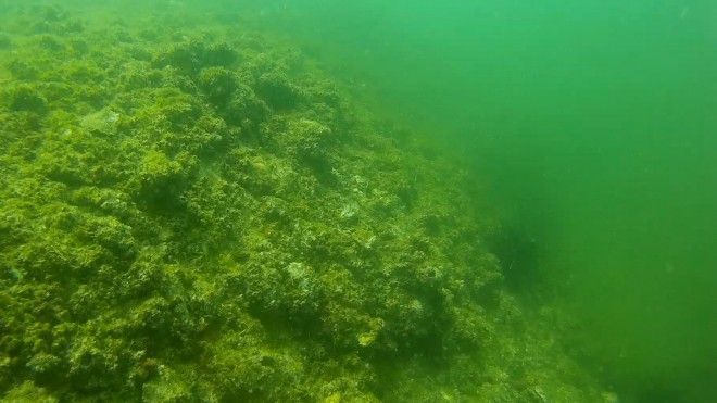 Cảnh quay đầu tiên do ngư dân thực hiện dưới đáy biển Quảng Bình