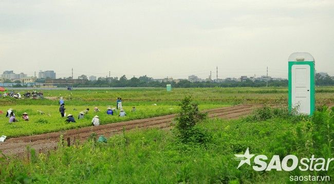 Tận thấy nơi bà con nông dân ở giữa Thủ đô bị cấm đi vệ sinh ngoài đồng