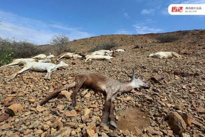 Sức tàn phá kinh khủng của hiện tượng El Nino khiến nhiều người sợ hãi