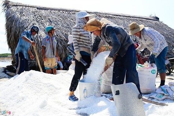 Nông dân Cần Giờ bán tạ muối không đủ uống ly cà phê
