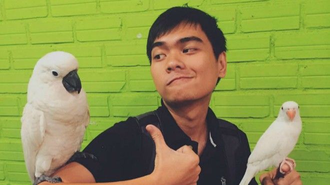 Khám phá thiên đường các loài vẹt trong quán cafe thú cưng ở Sài Gòn