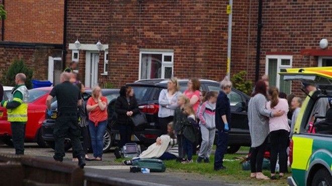 Chó nổi điên cắn 14 trẻ em nằm la liệt ở Anh