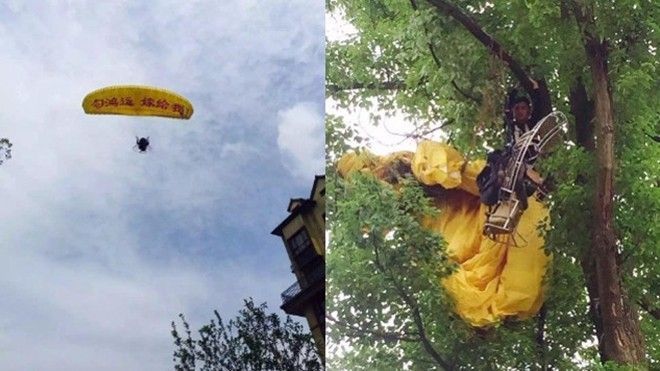 Chết cười với màn tỏ tình bằng dù bị gió cuốn vào ngọn cây